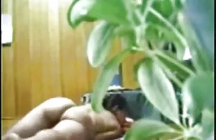 Busty女の子野性ディルドと滑り遊び 女性 専用 エッチ 動画